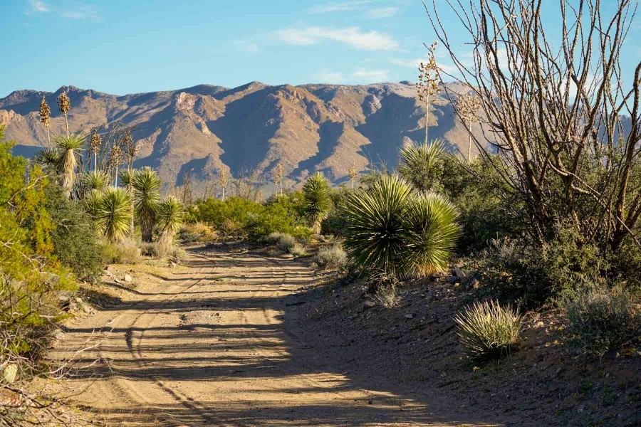 Chinati Ranch featured image