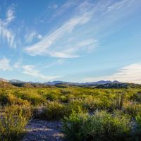 Chinati Ranch images 5