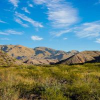 Chinati Ranch images 6