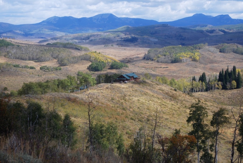 Chicken Creek Ranch featured image