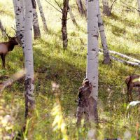 Chicken Creek Ranch images 3