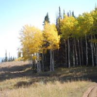 Chicken Creek Ranch images 6