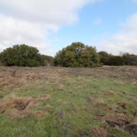 53 CS Ranch images 5