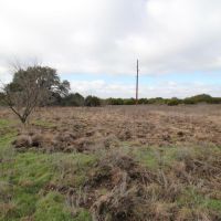 53 CS Ranch images 6
