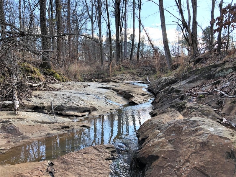 Lake Area Timber Tract featured image