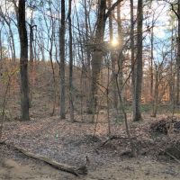 Lake Area Timber Tract images 2