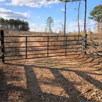 Lake Area Timber Tract images 4