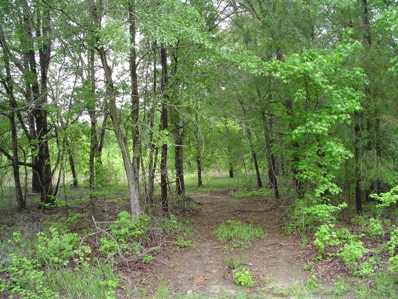 Camp Tract 55 featured image