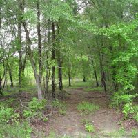 Camp Tract 55