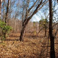 Camp Tract 55 images 3