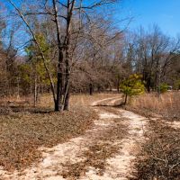 Camp Tract 55 images 4