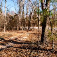 Camp Tract 55 images 5