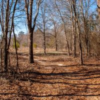 Camp Tract 55 images 6