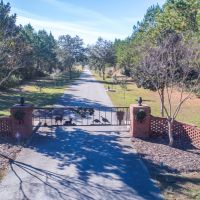 Black Creek images 2