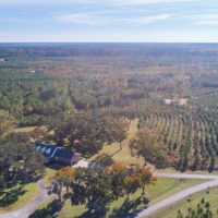 Black Creek images 3