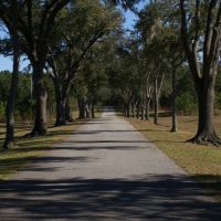 Black Creek images 5