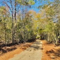 34 Acres Chance Morris Cutoff Road and Hwy 48  Walthall County  MS images 2