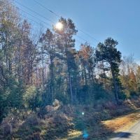 34 Acres Chance Morris Cutoff Road and Hwy 48  Walthall County  MS images 3