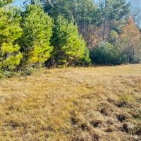 34 Acres Chance Morris Cutoff Road and Hwy 48  Walthall County  MS images 4