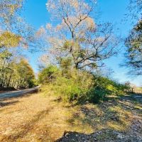 34 Acres Chance Morris Cutoff Road and Hwy 48  Walthall County  MS images 5