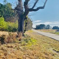 34 Acres Chance Morris Cutoff Road and Hwy 48  Walthall County  MS images 6