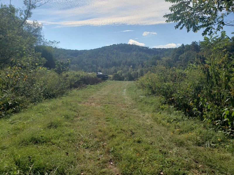 67 Unrestricted Acres with Mountain Views featured image