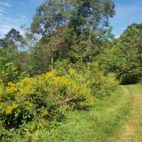 67 Unrestricted Acres with Mountain Views images 2