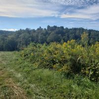 67 Unrestricted Acres with Mountain Views images 4
