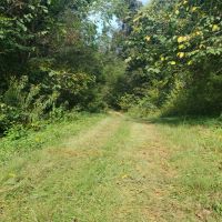 67 Unrestricted Acres with Mountain Views images 5