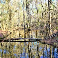 Diverse Recreational Property images 2