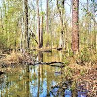 Diverse Recreational Property images 3