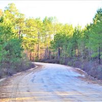Diverse Recreational Property images 4