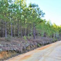 Diverse Recreational Property images 5