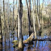 Diverse Recreational Property images 6