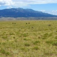 18 Majors Ranch Phase 1 images 4