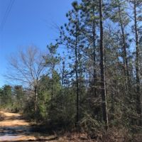 15 Acres in Forrest County in Hattiesburg  MS images 4