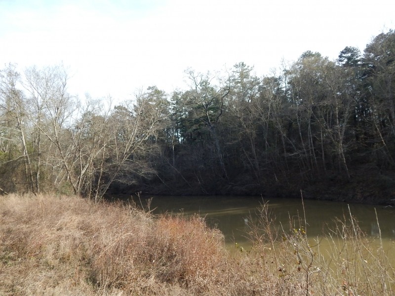 37.4 Ac on Topisaw Creek featured image