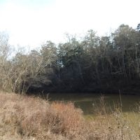 37.4 Ac on Topisaw Creek