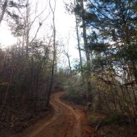 37.4 Ac on Topisaw Creek images 2