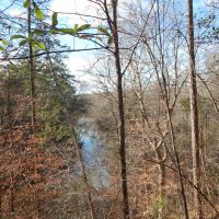 37.4 Ac on Topisaw Creek images 3