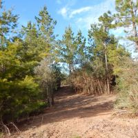 37.4 Ac on Topisaw Creek images 4
