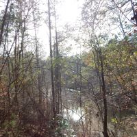 37.4 Ac on Topisaw Creek images 6
