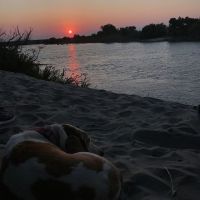 Eagal Lakes Resort images 2