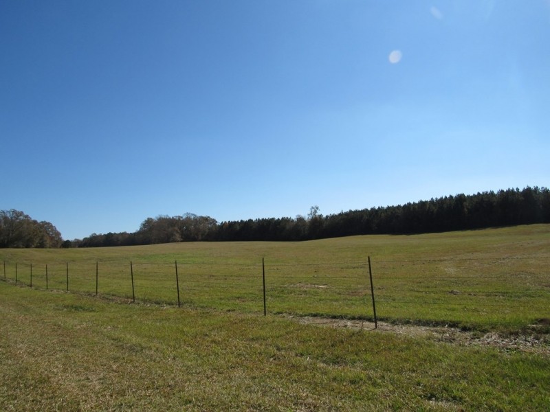 Maude Lane 75 Acres featured image