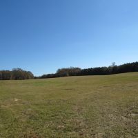 Maude Lane 75 Acres images 6