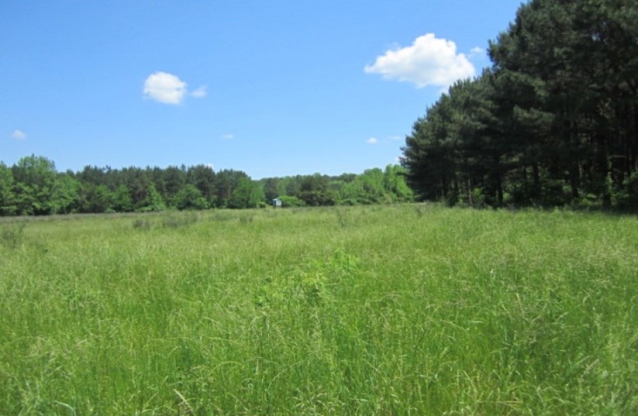 68.98 Acres in Tippah County in Ripley  MS featured image