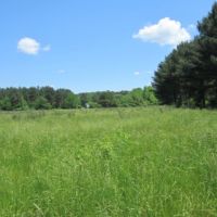 68.98 Acres in Tippah County in Ripley  MS