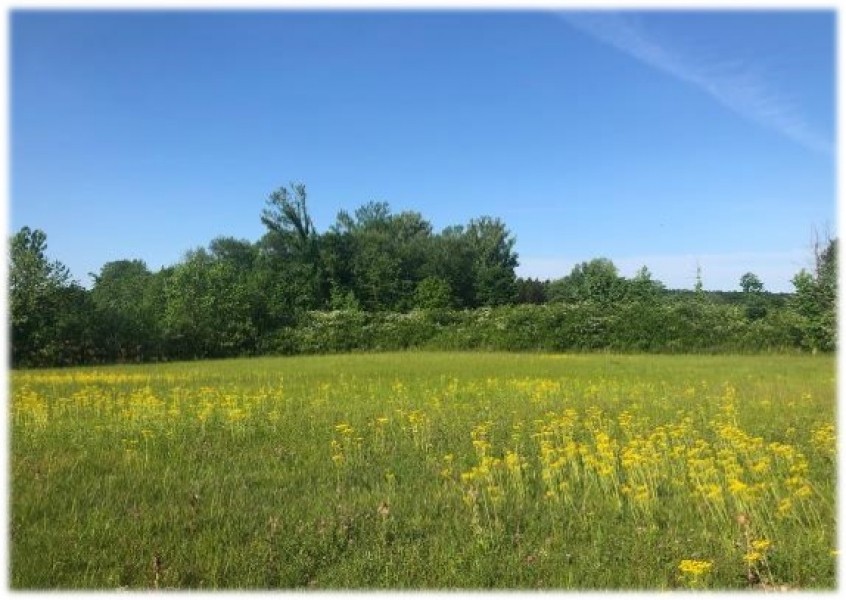 90 Acres in Lafayette County in Thaxton  MS featured image
