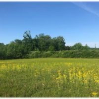 90 Acres in Lafayette County in Thaxton  MS
