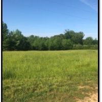 90 Acres in Lafayette County in Thaxton  MS images 3